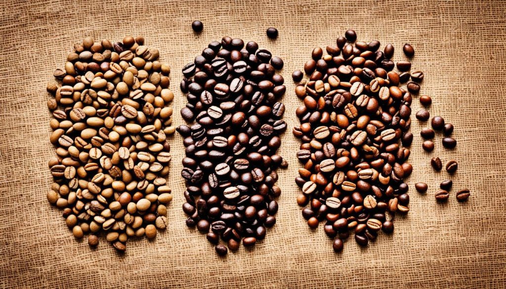 ifferences between Arabica and Robusta coffee beans