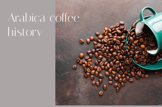Arabica coffee history