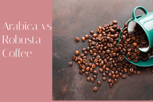 Arabica vs Robusta Coffee