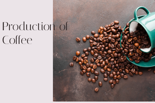 Production of Coffee
