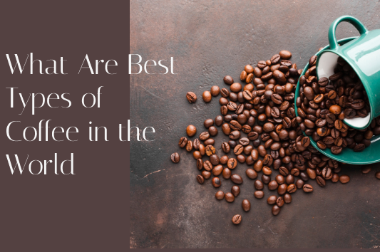 What Are Best Types of Coffee in the World