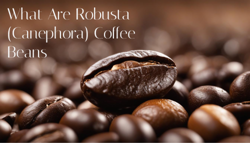 What Are Robusta (Canephora) Coffee Beans