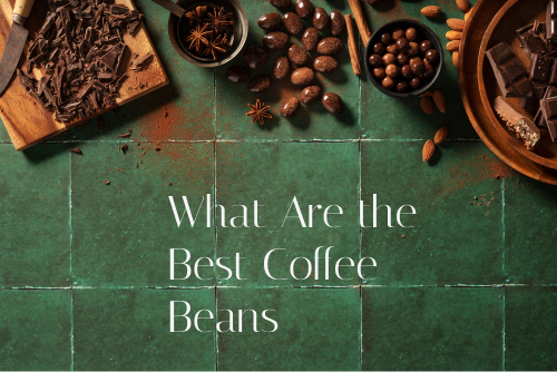 What Are the Best Coffee Beans