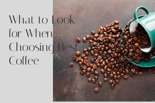 What to Look for When Choosing Best Coffee