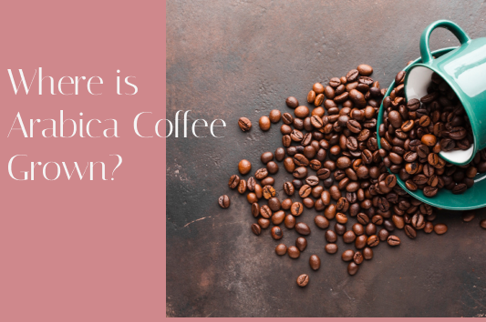 Where is Arabica Coffee Grown?