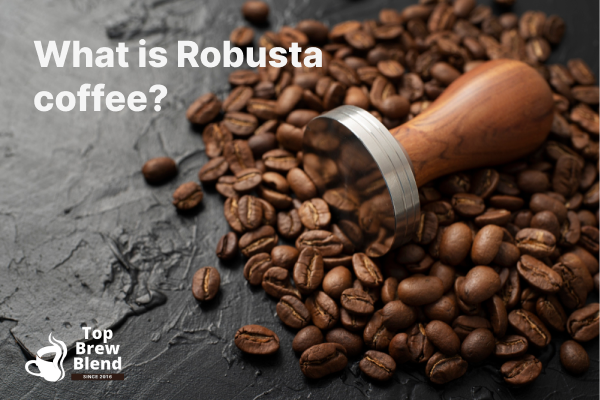 What is Robusta coffee?